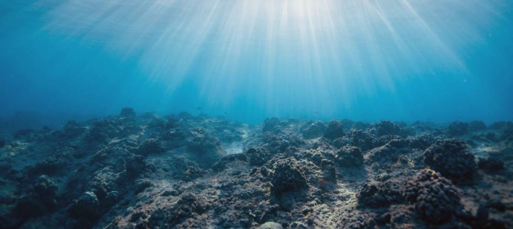 Scientists Solve Ocean ‘Carbon Sink’ Puzzle